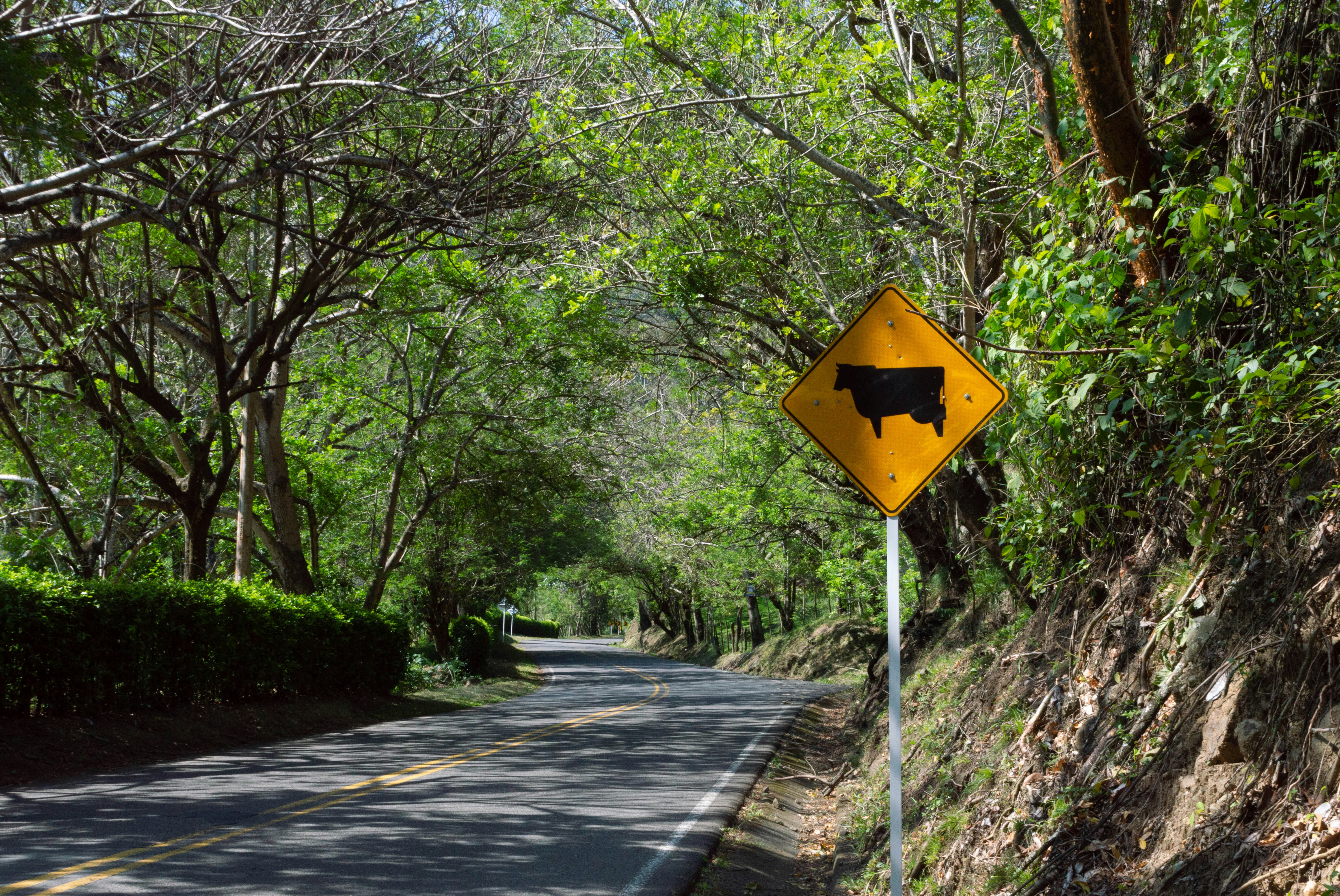 Photo by daviddcortess