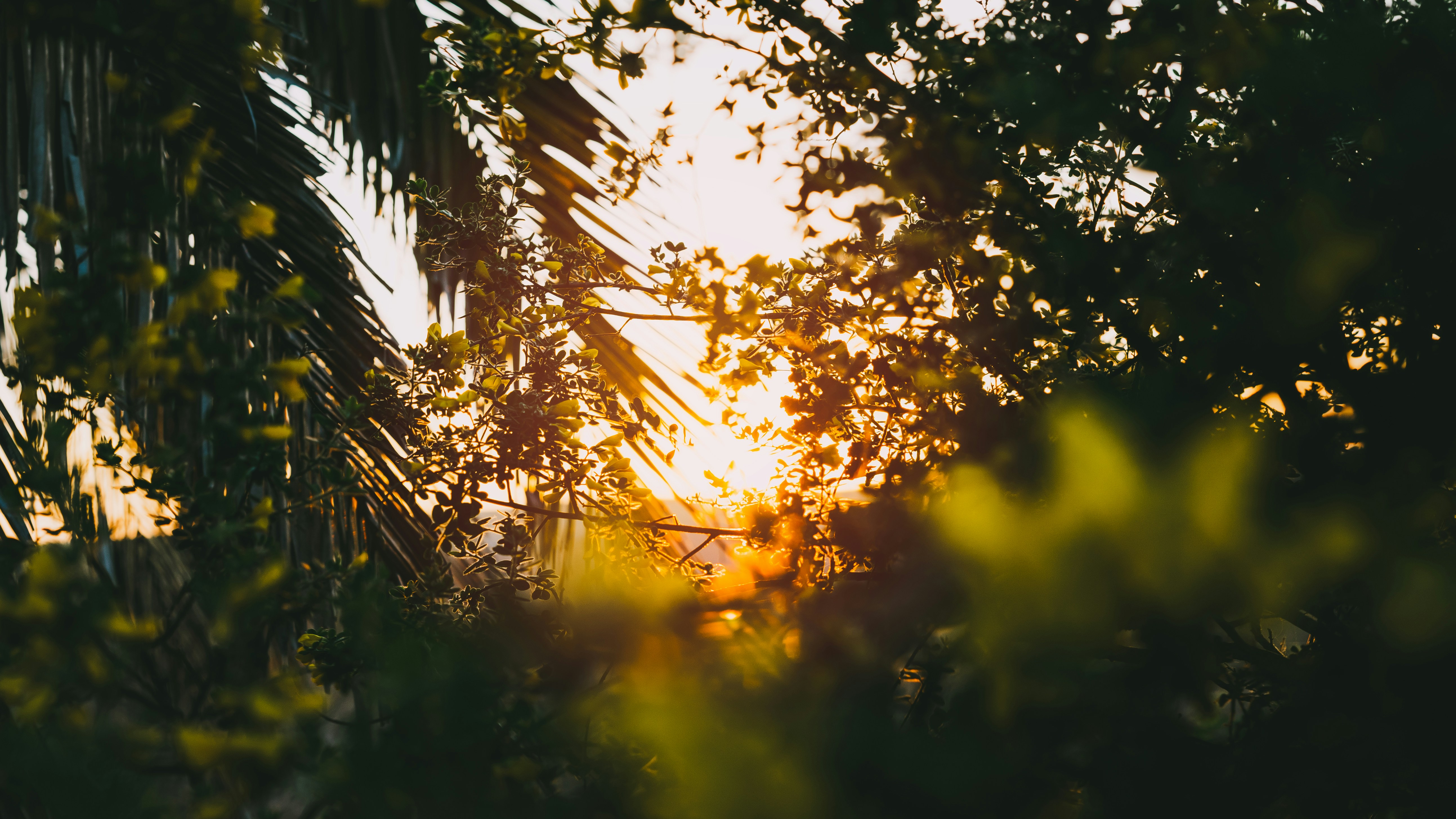 Photo by kalaniparker