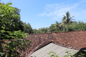 A landscape featuring a rooftop made of red and orange clay tiles, partly overgrown with green plants and trees. In the background, various tropical trees and a coconut palm are visible against a bright blue sky with scattered clouds.