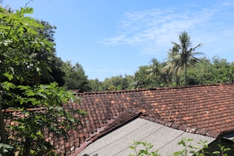 A landscape featuring a rooftop made of red and orange clay tiles, partly overgrown with green plants and trees. In the background, various tropical trees and a coconut palm are visible against a bright blue sky with scattered clouds.