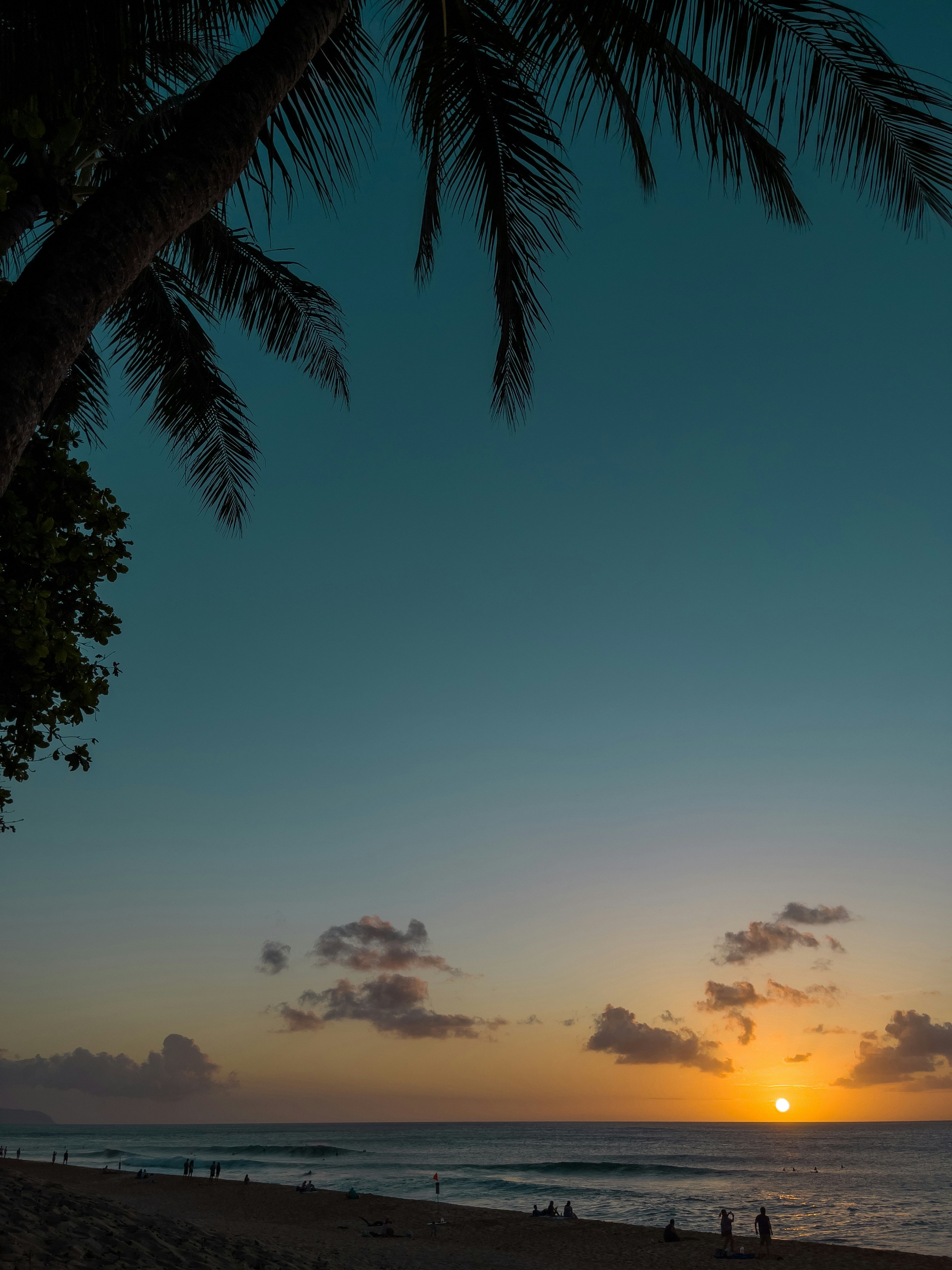 Photo by idontknowicee