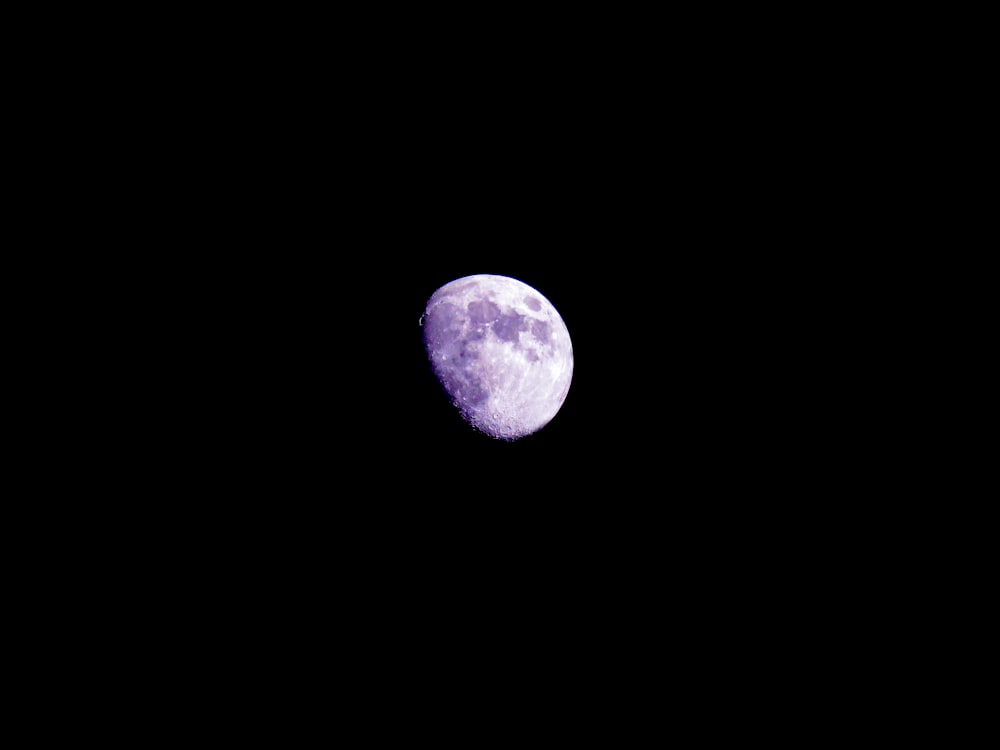 purple and black moon illustration