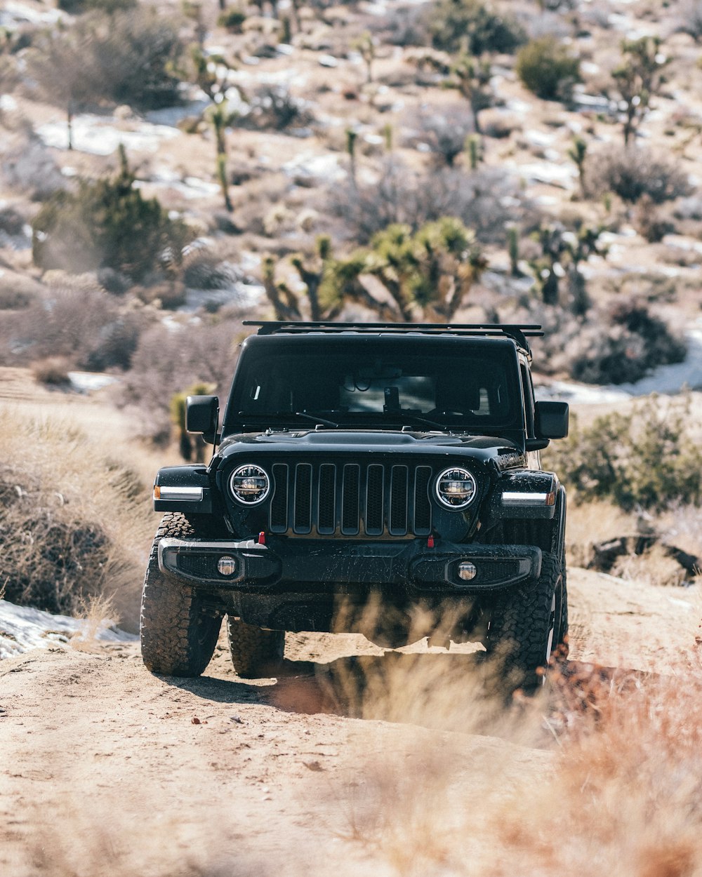 Schwarzer Jeep Wrangler tagsüber auf Feldweg