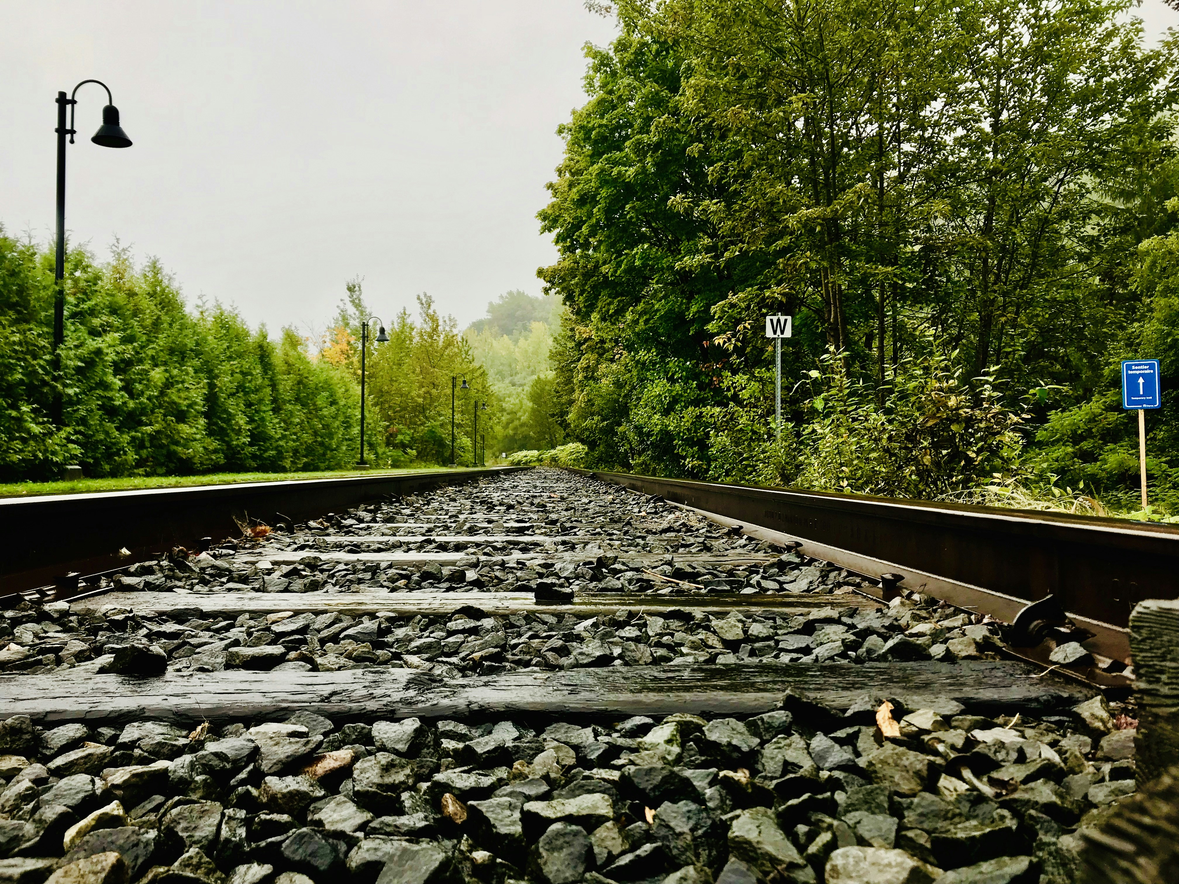 Milford Track Little Rock Menu