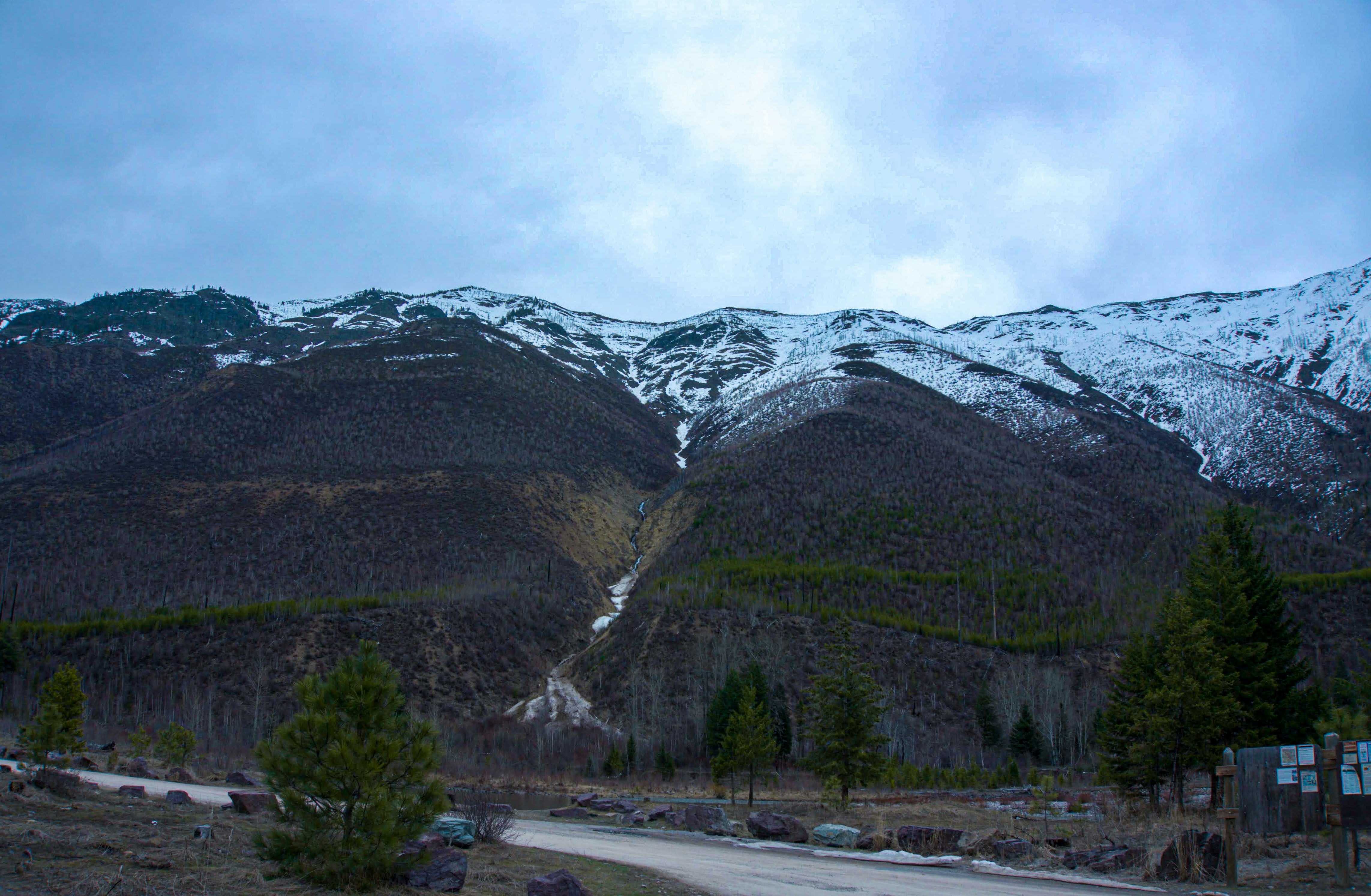 green trees near mountain under white sky during daytime
