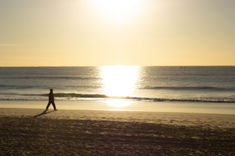 silhouette of person walking on beach during sunset