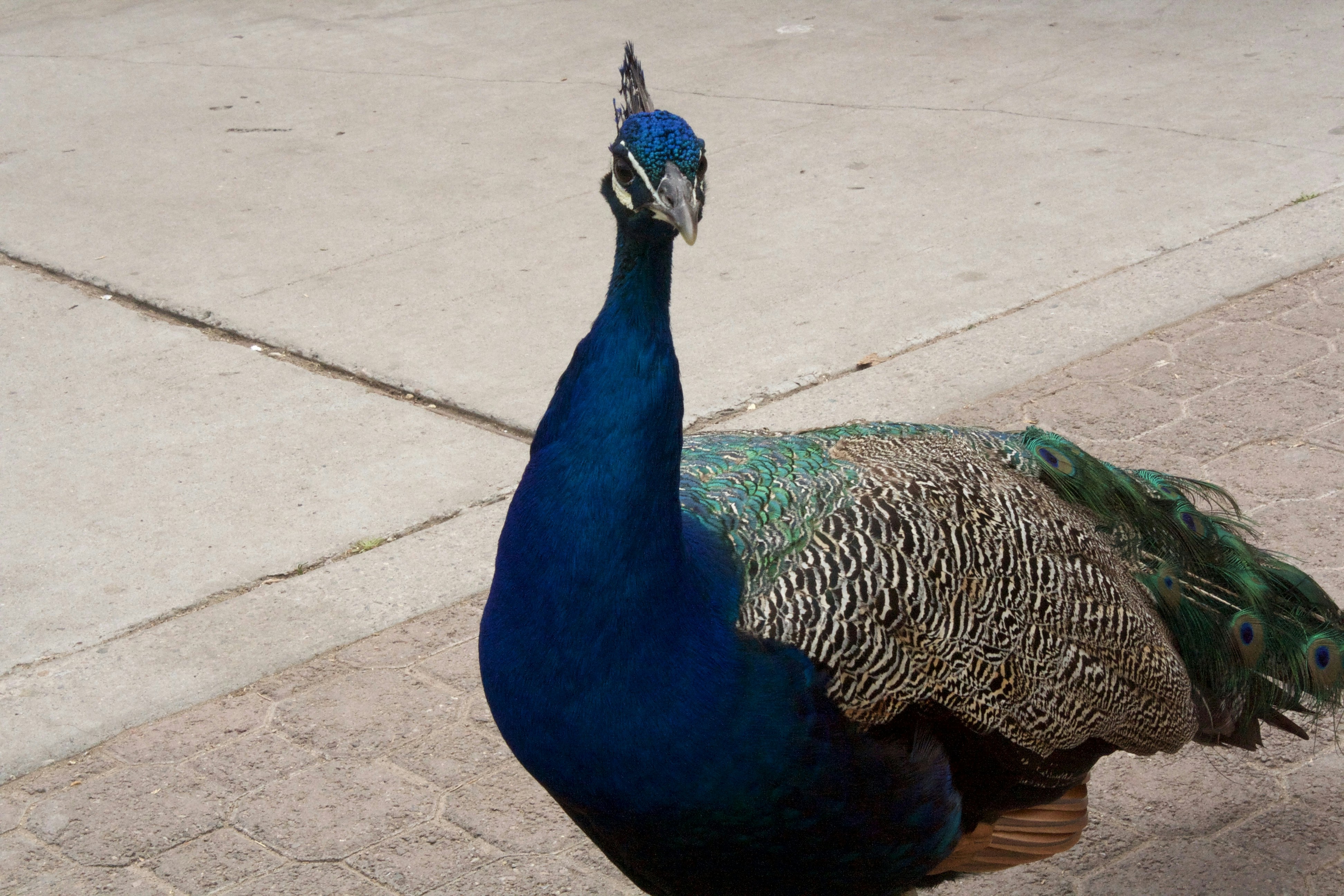 Photo by delonnewman