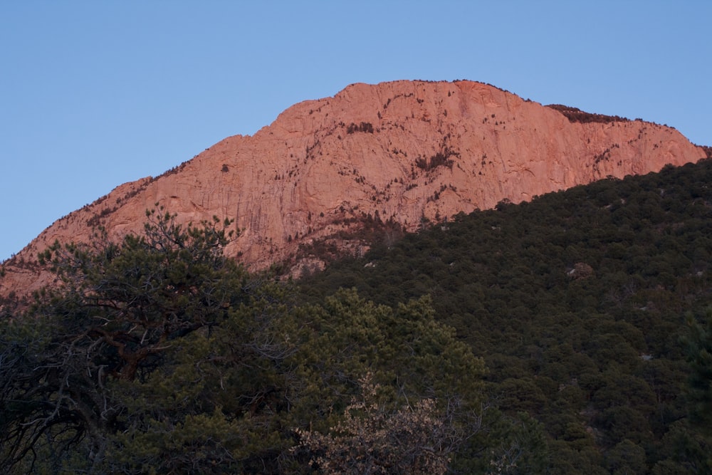brown rock formation near green trees during daytime