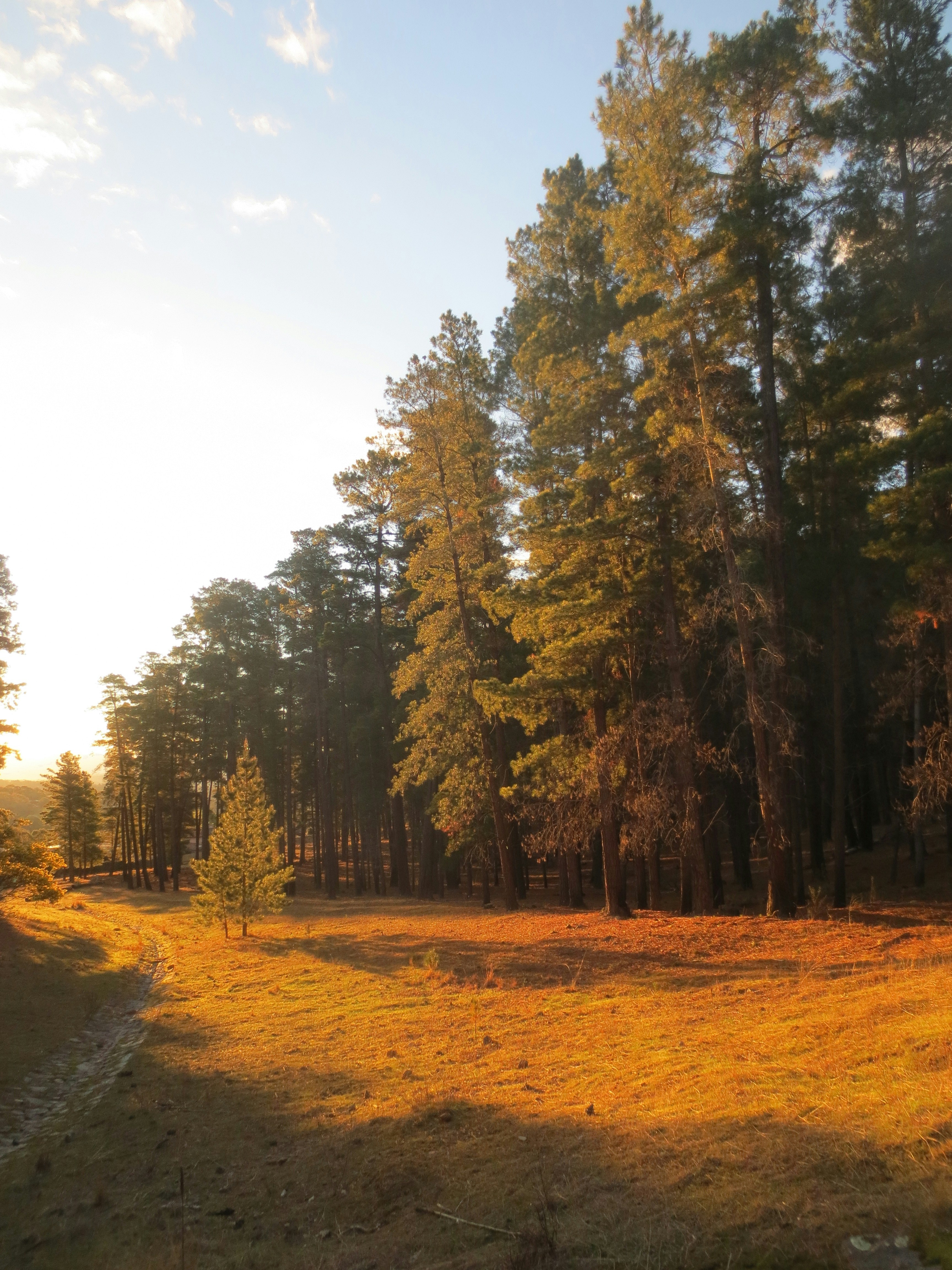 Photo by phelissitie