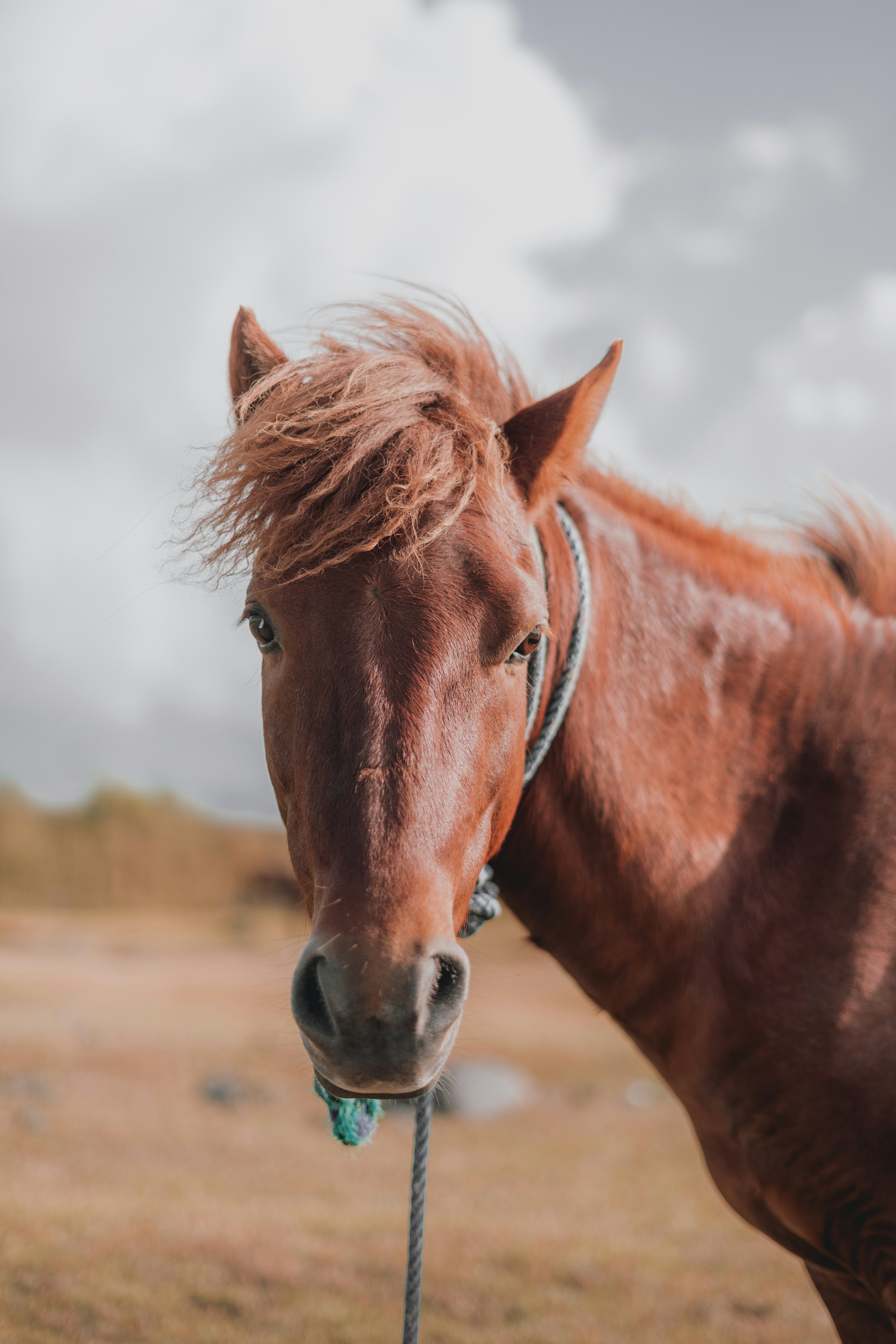 Photo by visualsofdana