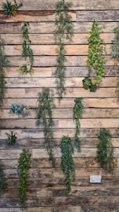 Succulent Wall Panel