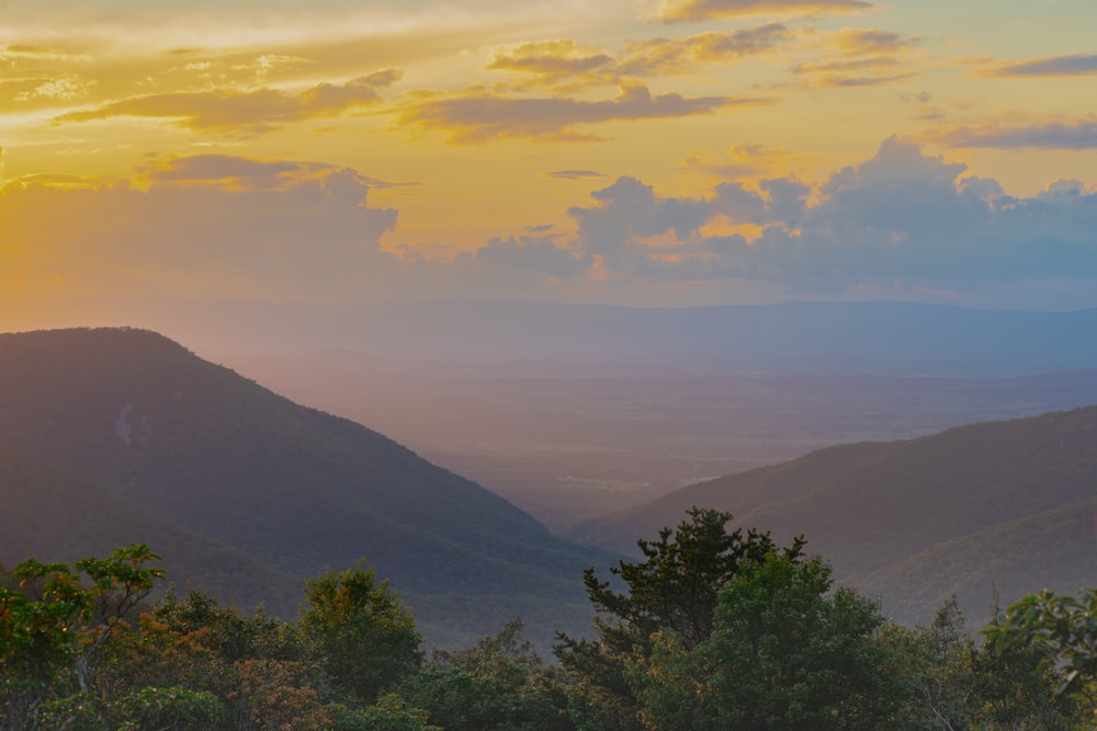 green trees on mountain during daytime