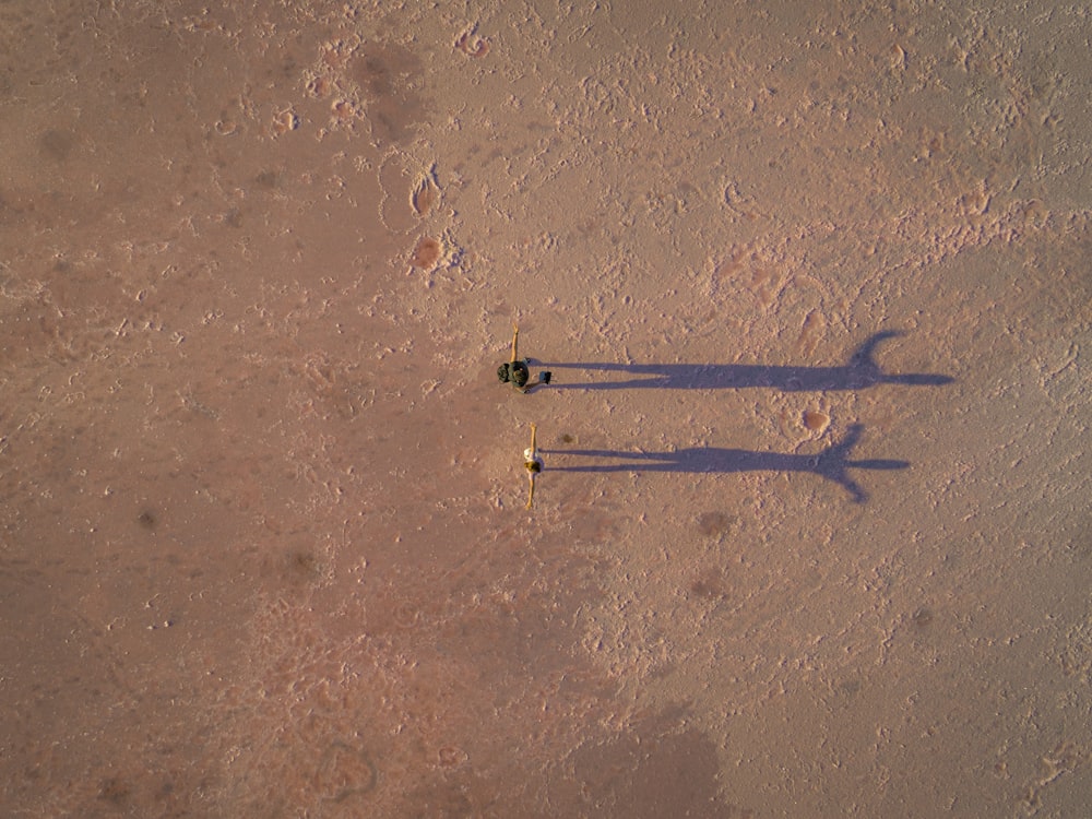 person walking on brown sand