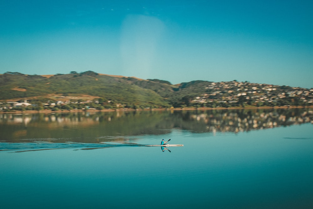 person in white and blue kayak on blue body of water during daytime