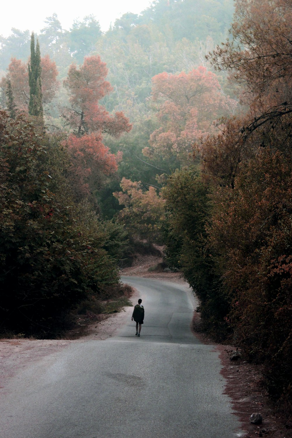 person in black jacket walking on gray road between trees during daytime