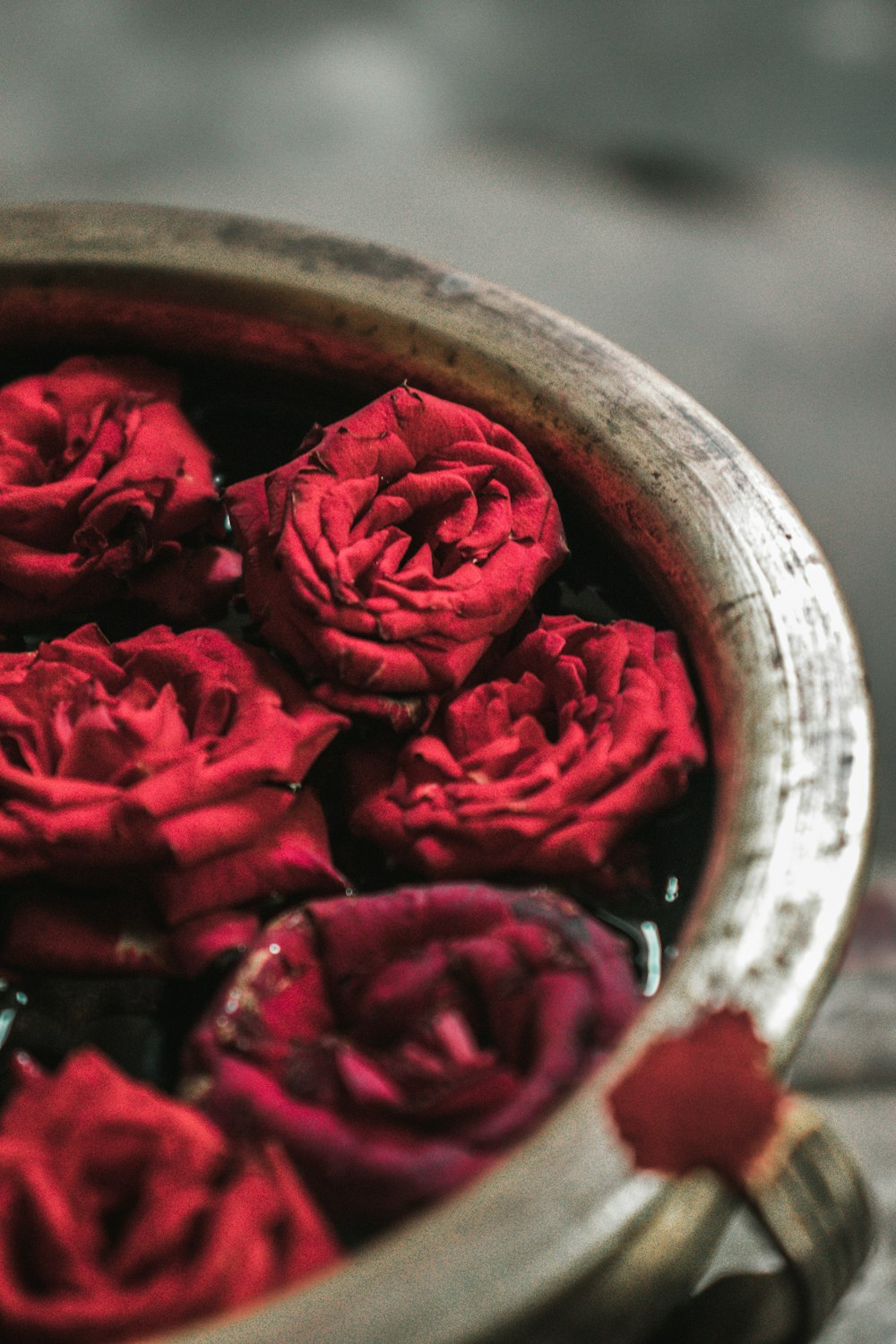 red roses in brown round container