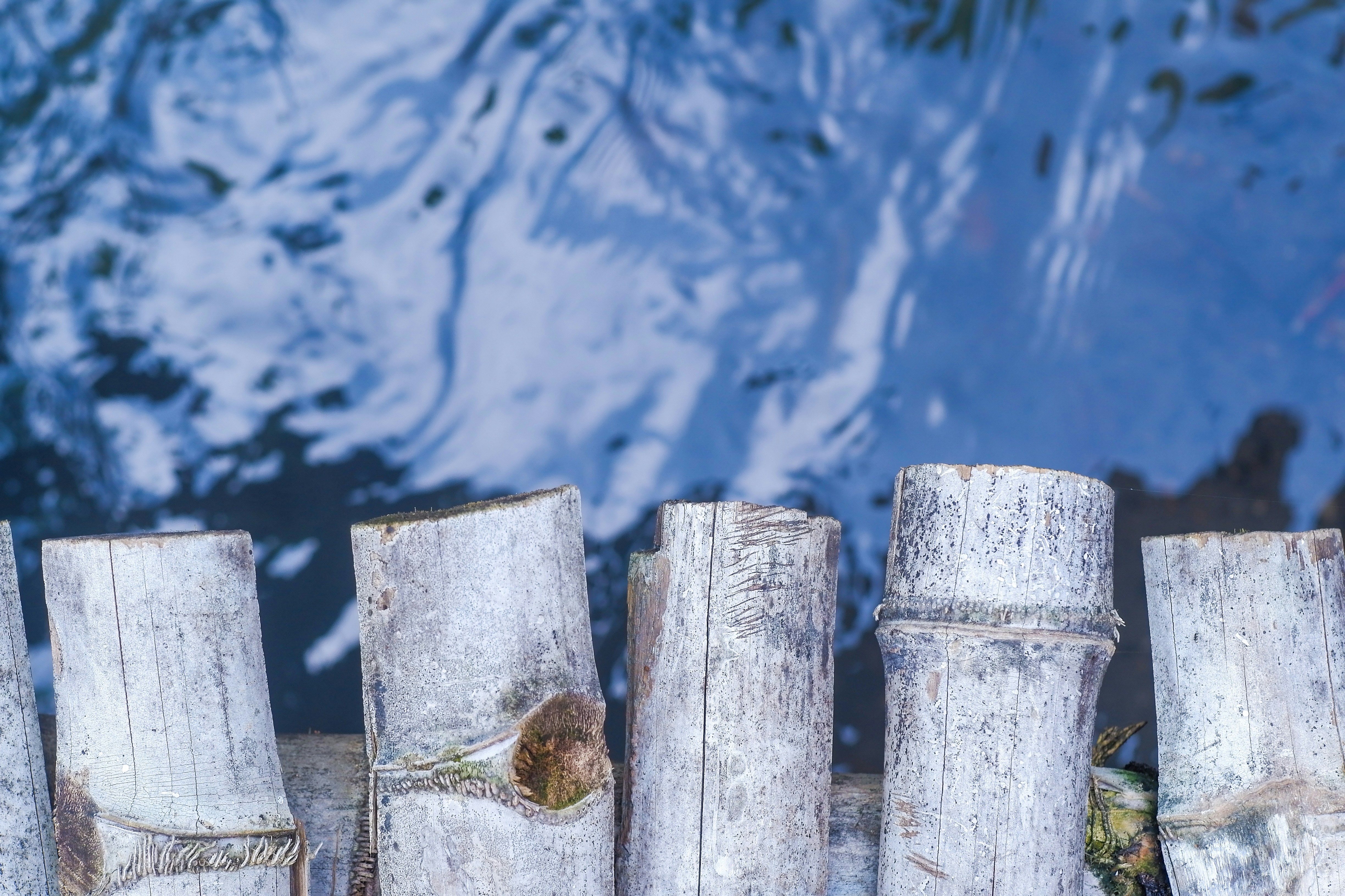 Photo by muaraibrahim