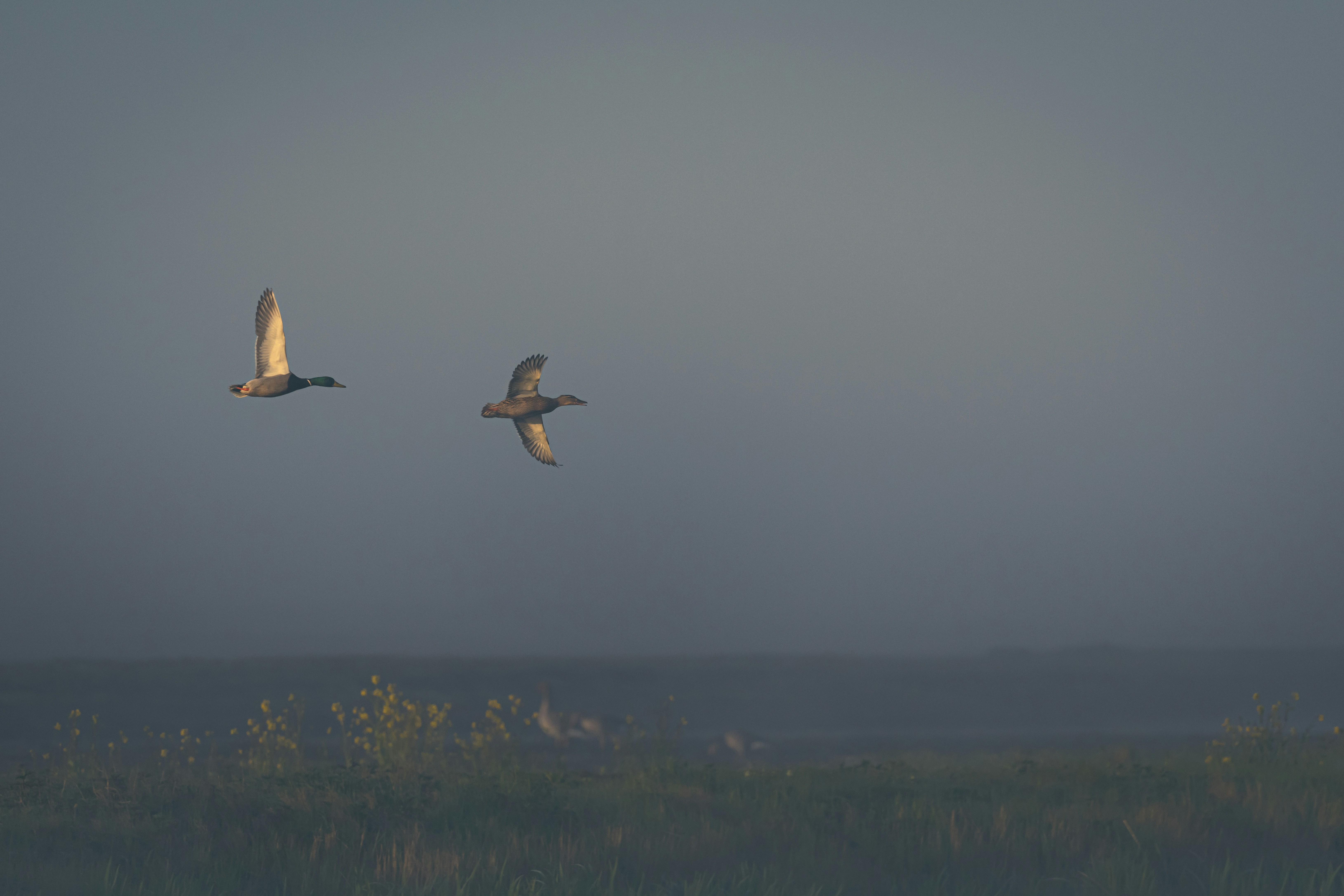 Photo by vincentvanzalinge