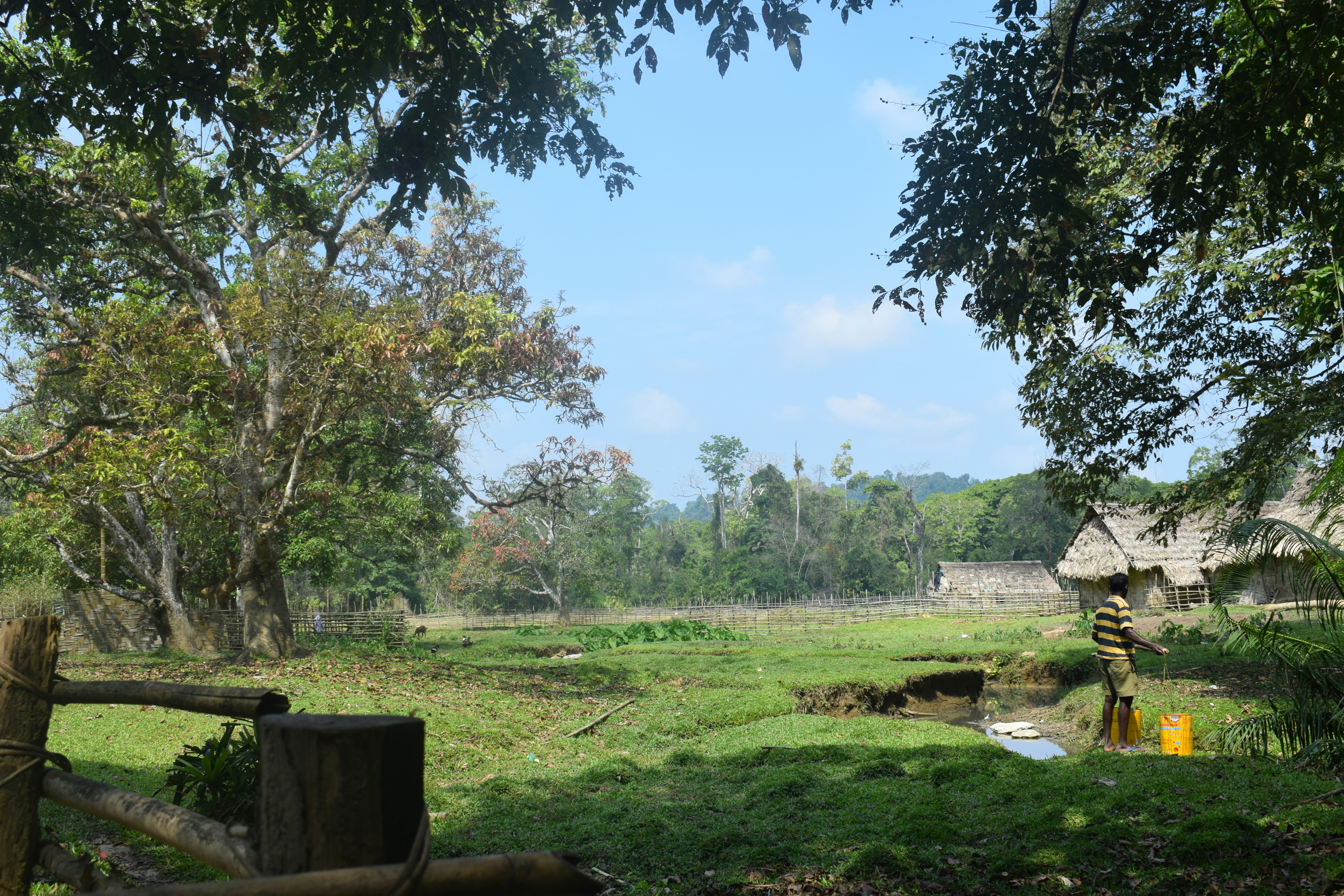 Naman Gupta (@clicking_frames) | Unsplash Photo Community