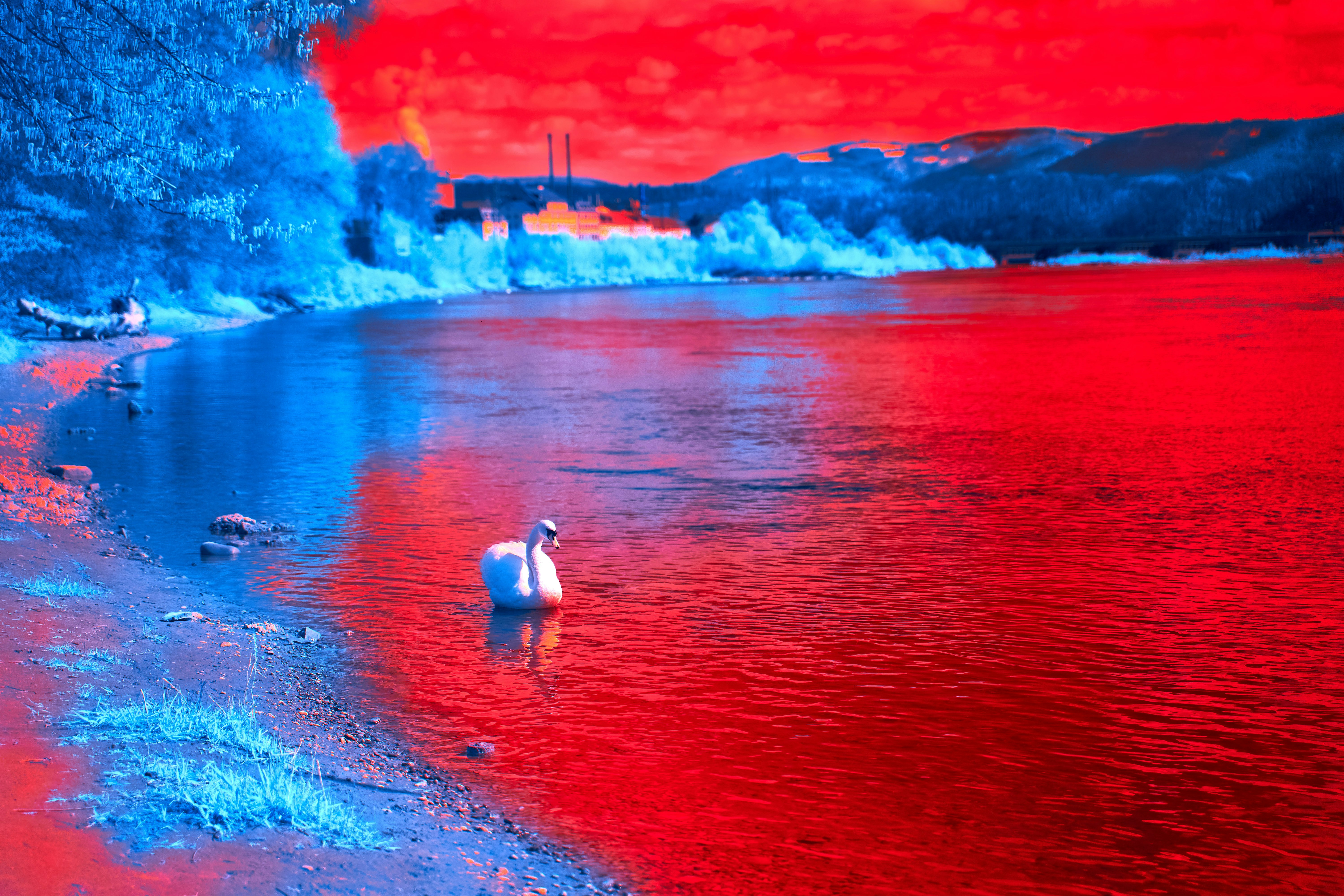 Photo by wolfgang_hasselmann