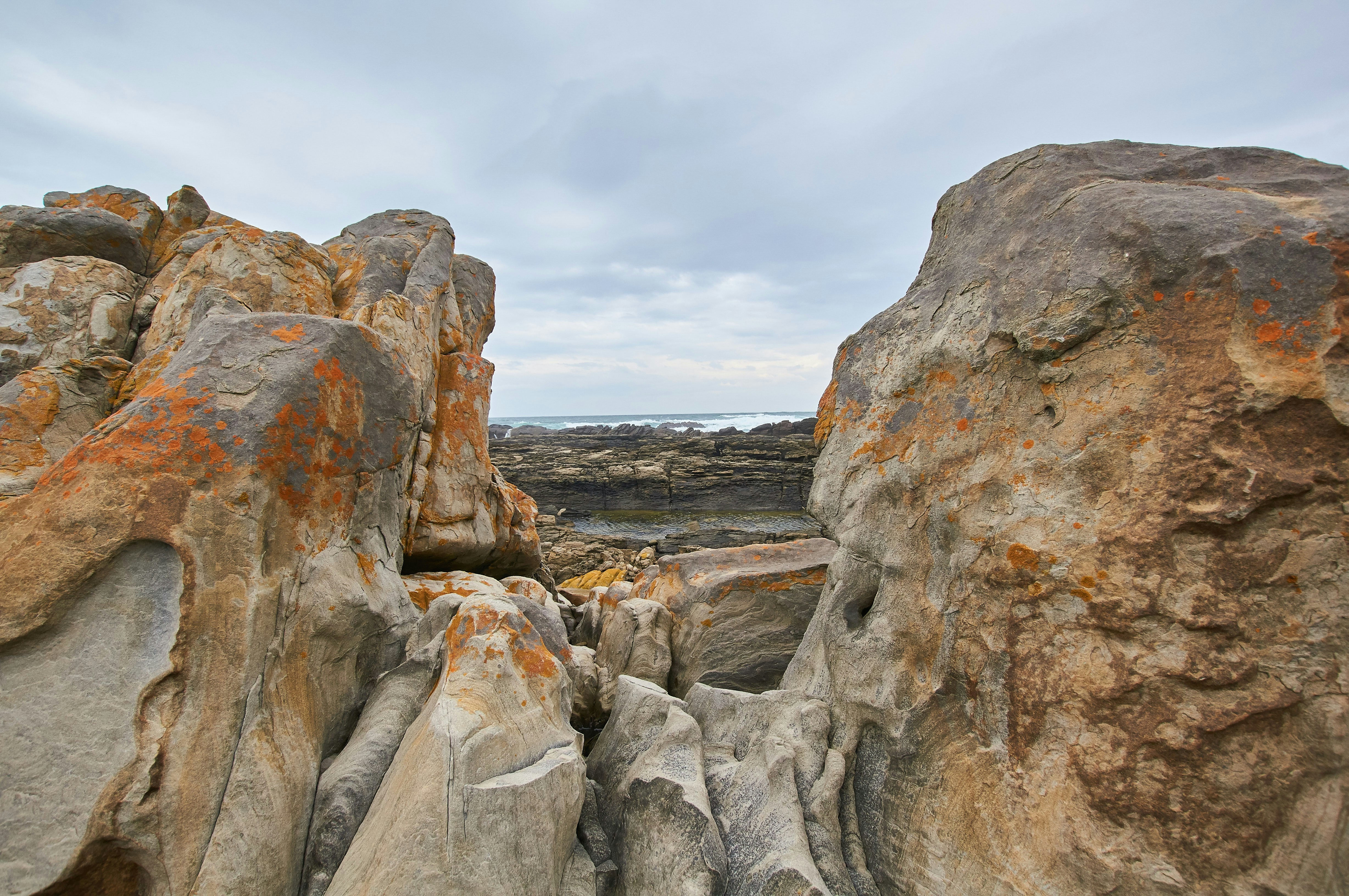 Photo by wolfgang_hasselmann