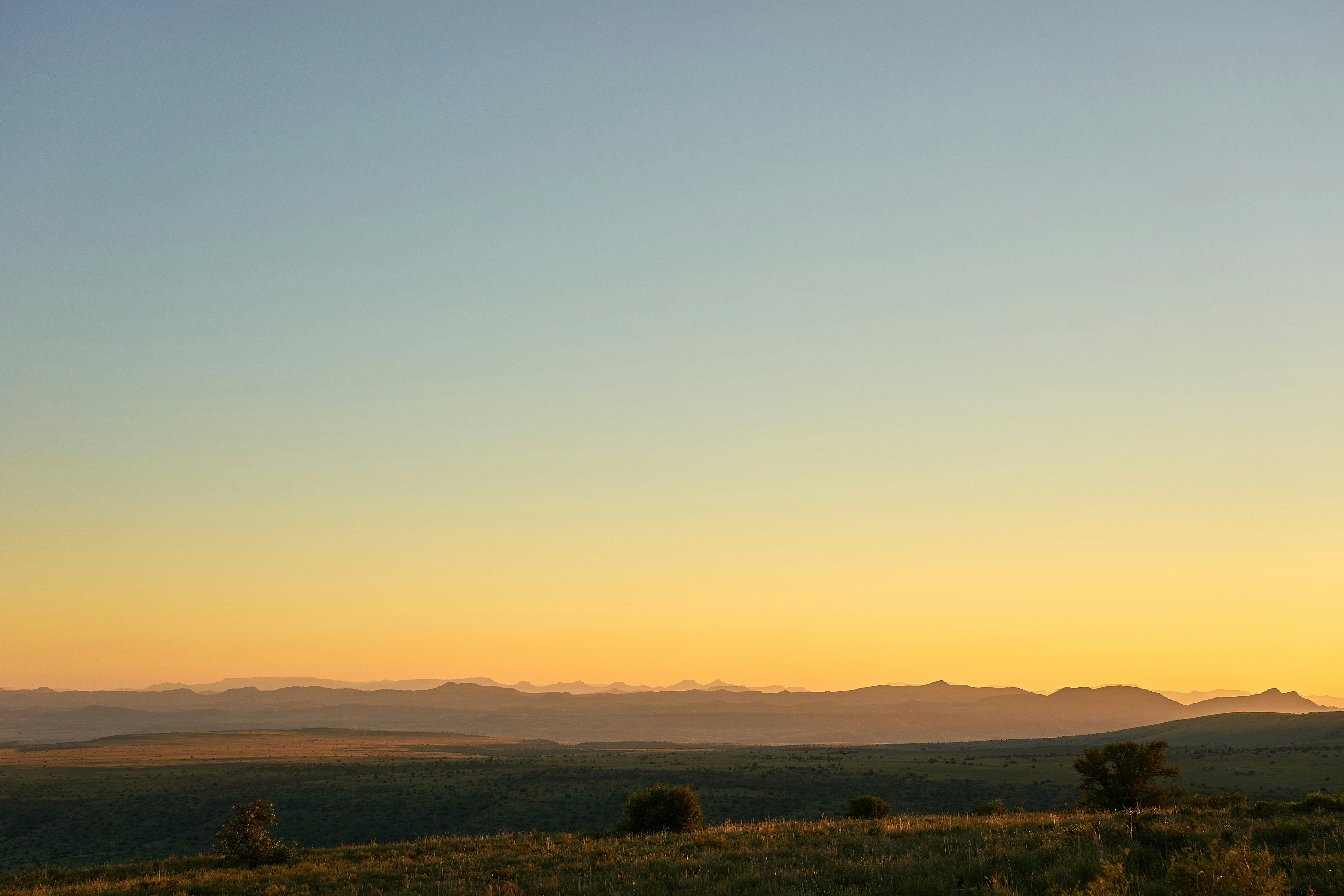 Photo by wolfgang_hasselmann