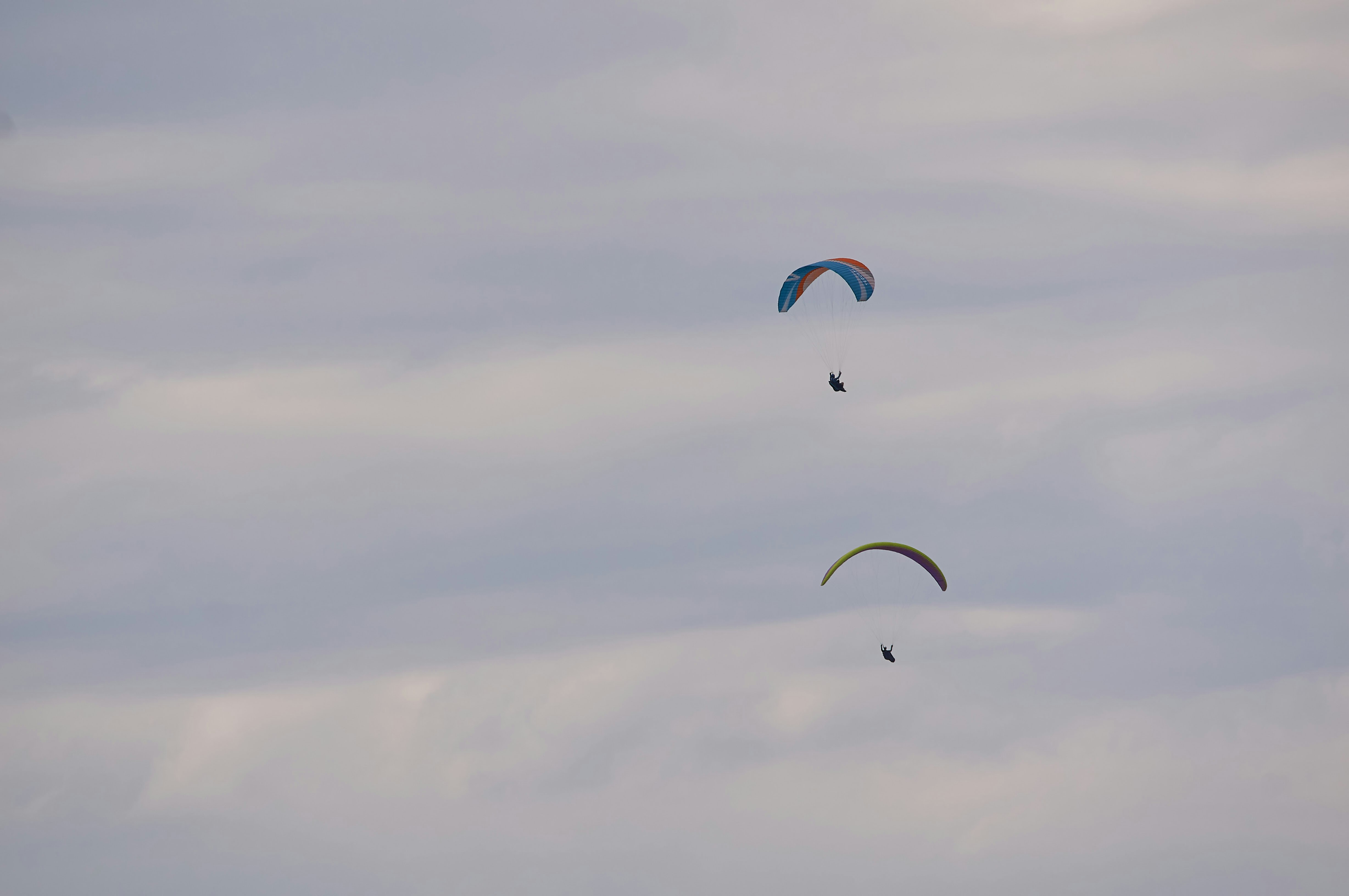 Photo by wolfgang_hasselmann