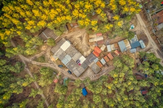 An aerial view of a settlement surrounded by dense forest with yellow and green trees. The settlement consists of several small buildings with varied colored roofs, including red, blue, and white. There are dirt paths and roads weaving through the area, connecting the buildings. The forest encircles the structures, creating a natural border.