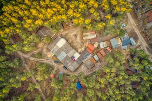 An aerial view of a settlement surrounded by dense forest with yellow and green trees. The settlement consists of several small buildings with varied colored roofs, including red, blue, and white. There are dirt paths and roads weaving through the area, connecting the buildings. The forest encircles the structures, creating a natural border.
