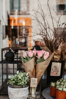 A floral display features bouquets of pink tulips wrapped in brown paper in front of a glass window. Nearby, potted green plants and decorative lanterns create an inviting atmosphere. The background includes blurred indoor elements, contributing to a cozy, rustic feel.