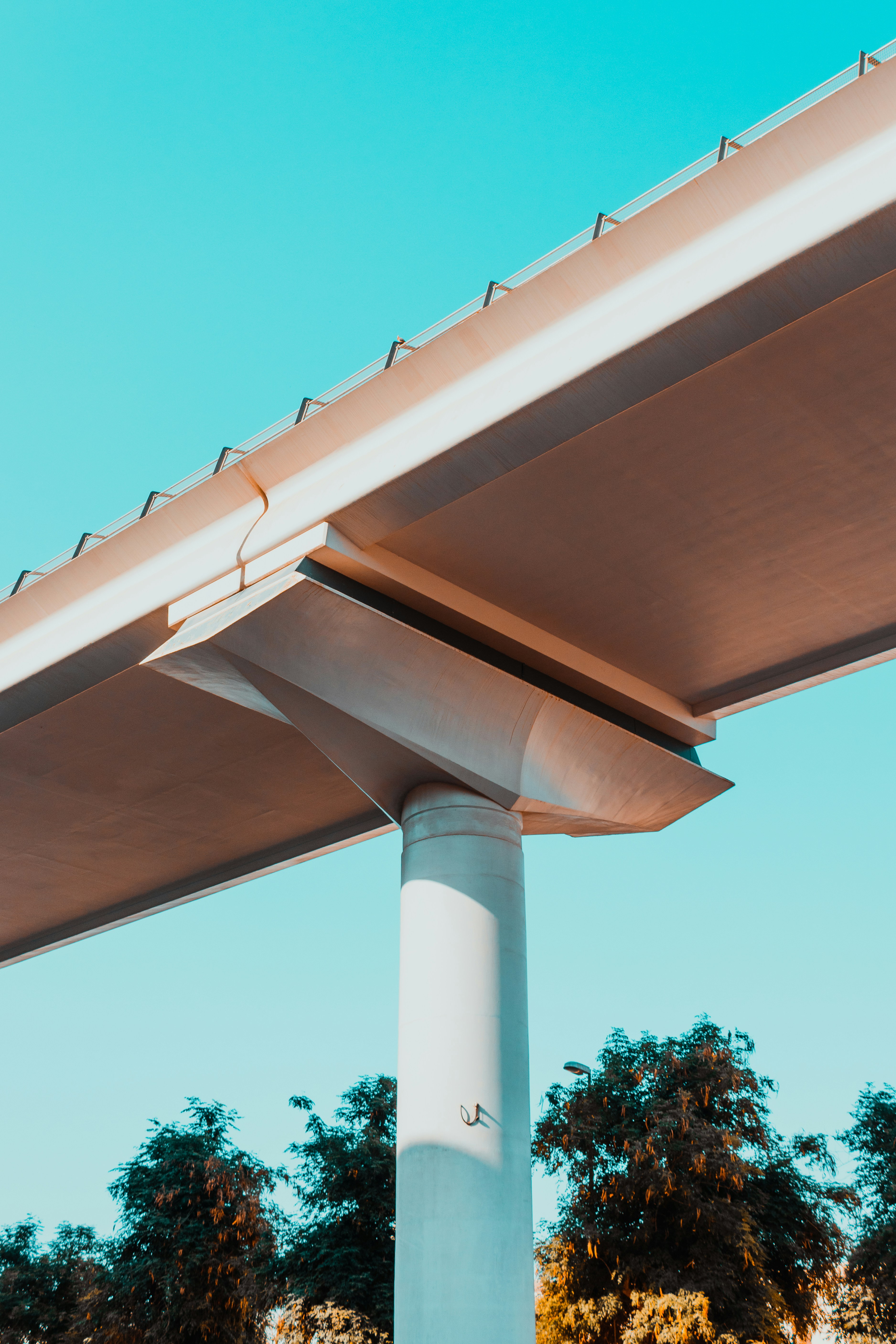 Photo by malikshibly