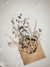 white flowers on brown clay pot