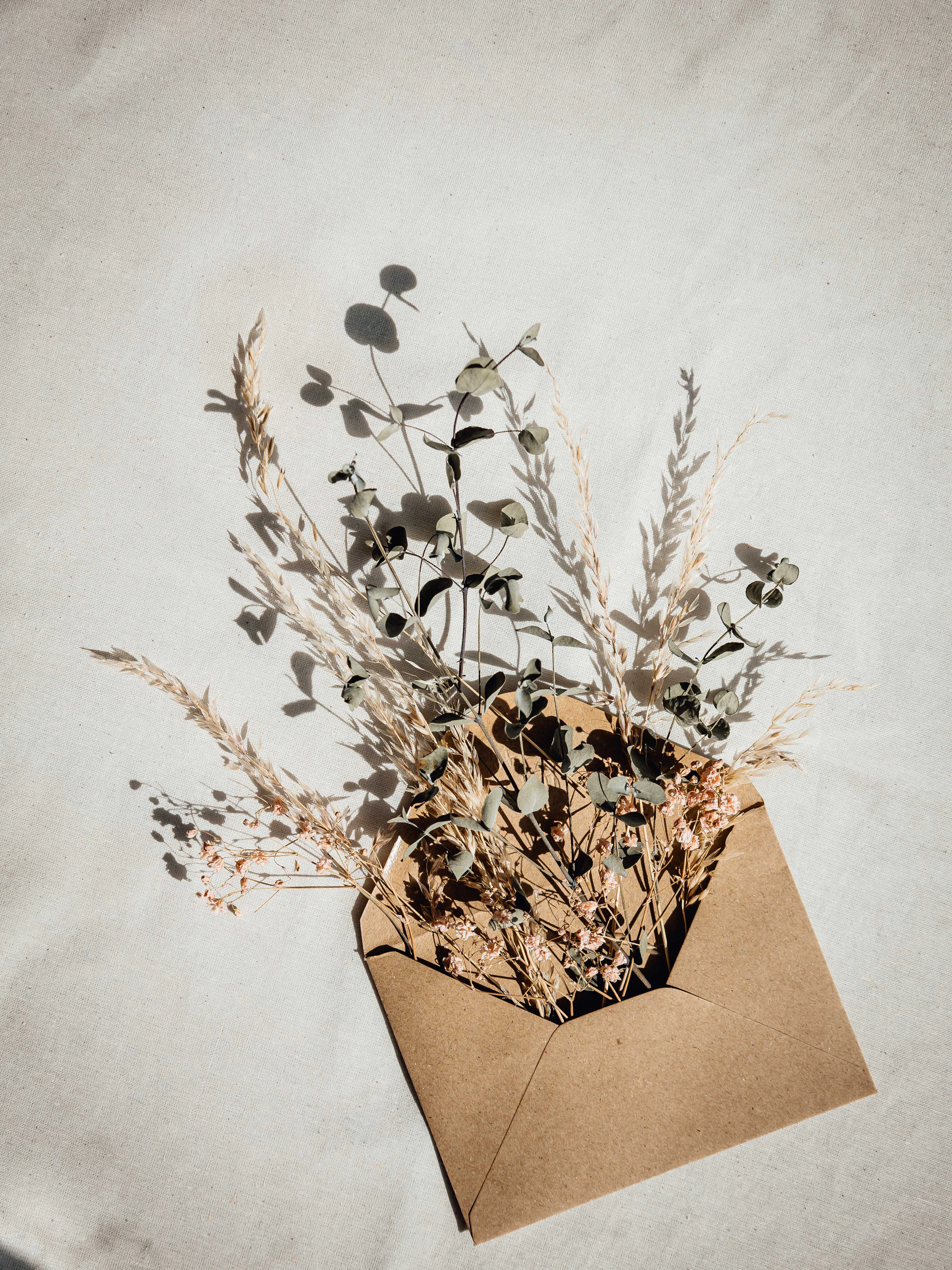 Des fleurs séchées s’échappent d’une enveloppe en papier kraft