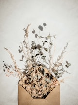 A soft linen-textured envelope resting on a smooth stone surface with warm natural light.