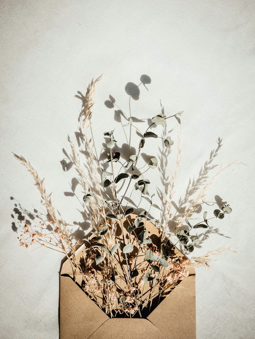 brown plant on brown pot