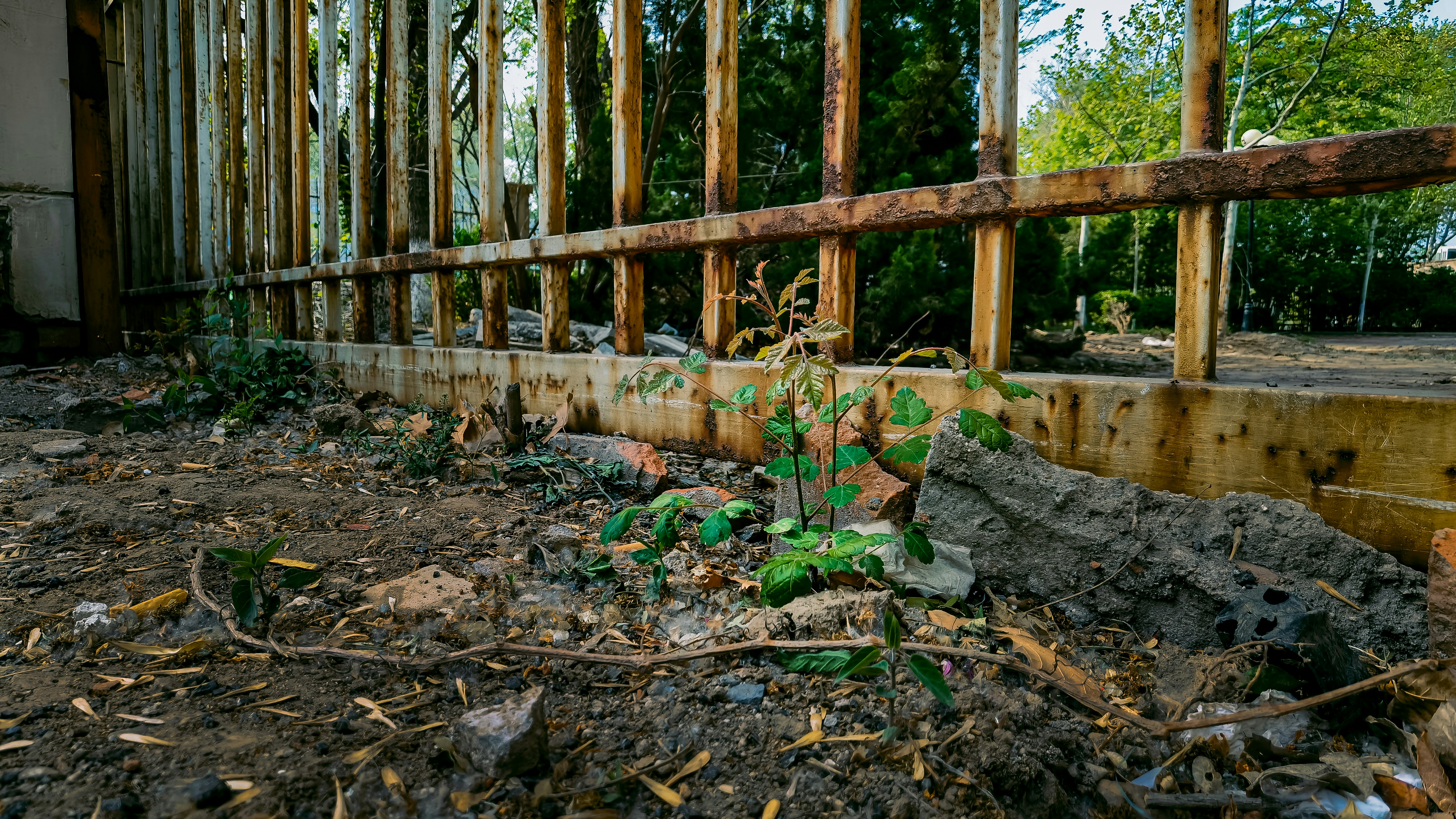 home foundation protection