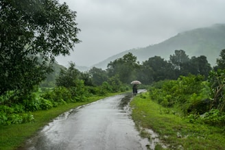 person walking on road between green grass field during daytime