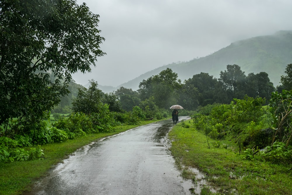 Persona che cammina sulla strada tra il campo di erba verde durante il giorno