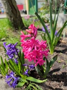 Close-up of vibrant flowers and trimmed shrubs in a corporate garden setting.