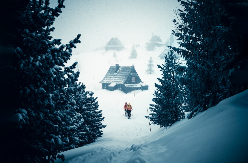 people walking on snow covered ground near trees during daytime