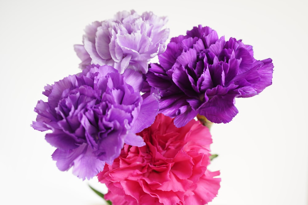 pink and purple flower bouquet