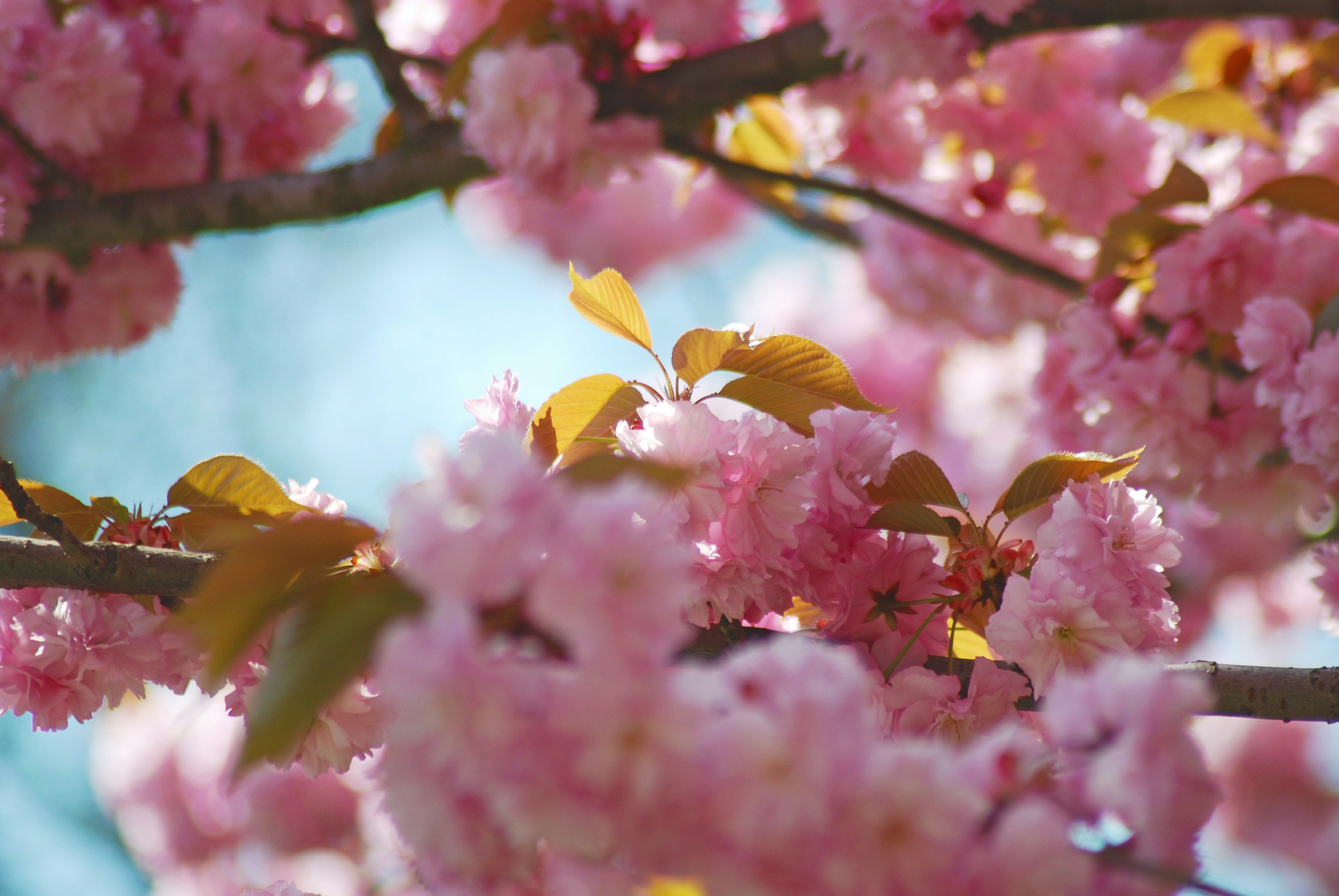 Photo by origamiaround