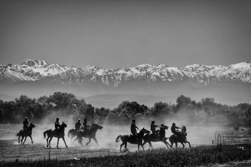 grayscale photo of horses on grass field