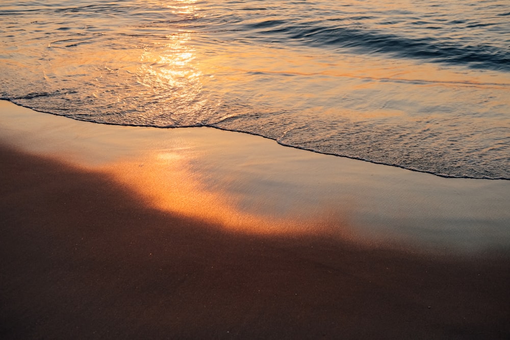 body of water during sunset