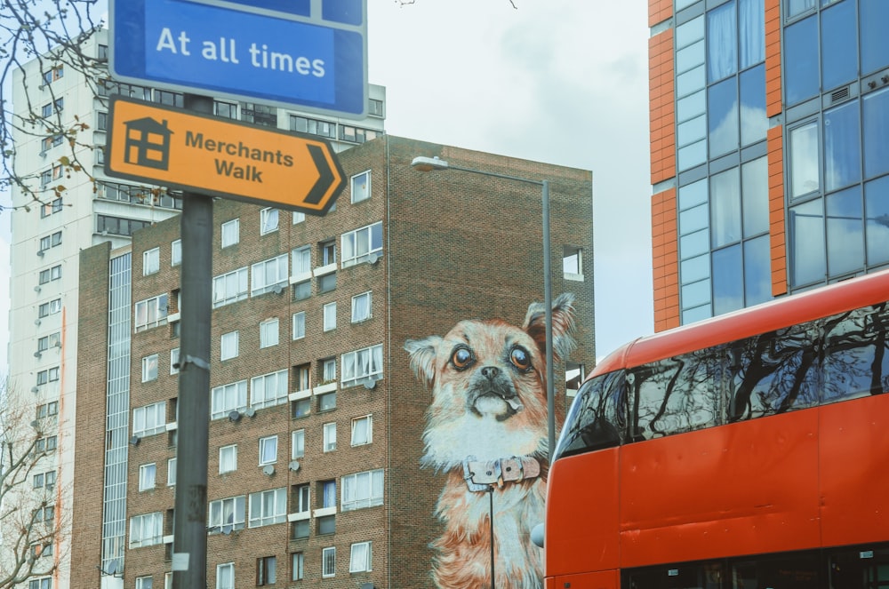 white and brown long coated small dog on red car