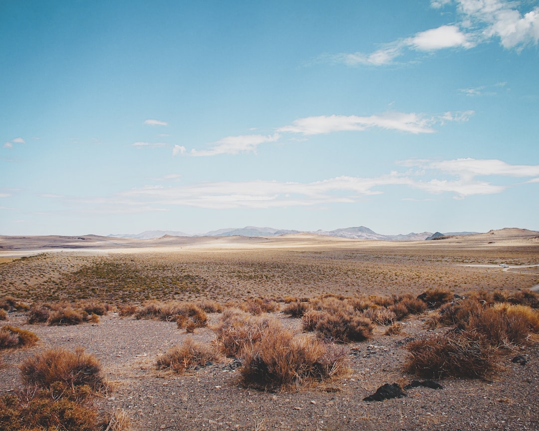 The Open Road: How Hitchhiking the American Deserts Lit My Wanderlu… — The Open Road, photo 2