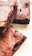 Close-up of a rich, fudgy brownie with a glossy chocolate top and a sprinkle of sea salt.