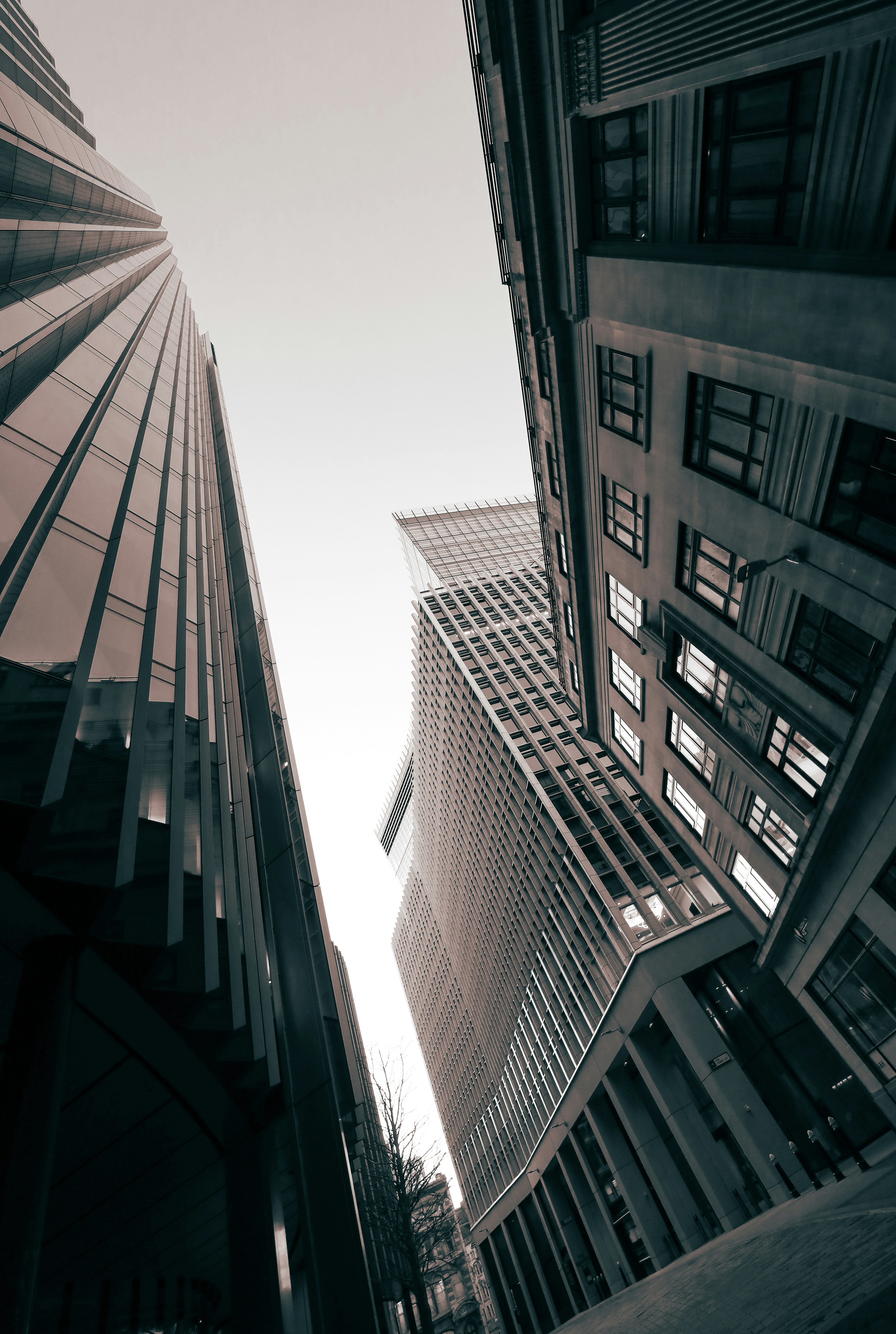 Photo by grievek1610begur