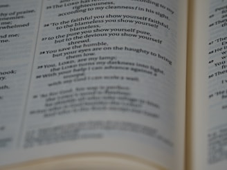 A close-up view of an open book displaying printed text in English. The pages are focused, allowing the text to be read clearly. The paper has a slightly off-white color, typical of many books.
