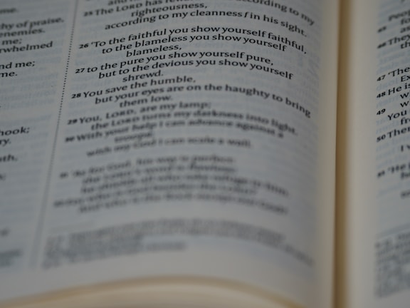 A close-up view of an open book displaying printed text in English. The pages are focused, allowing the text to be read clearly. The paper has a slightly off-white color, typical of many books.